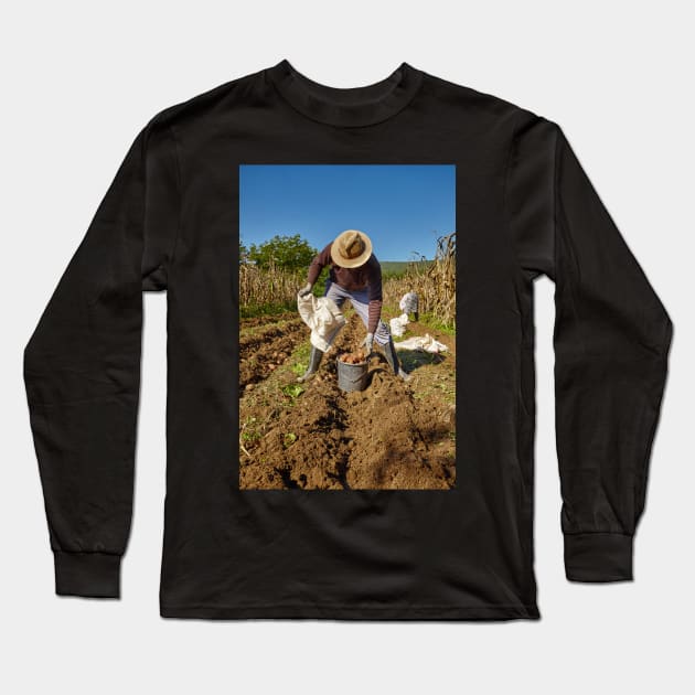 Potatoes harvest Long Sleeve T-Shirt by naturalis